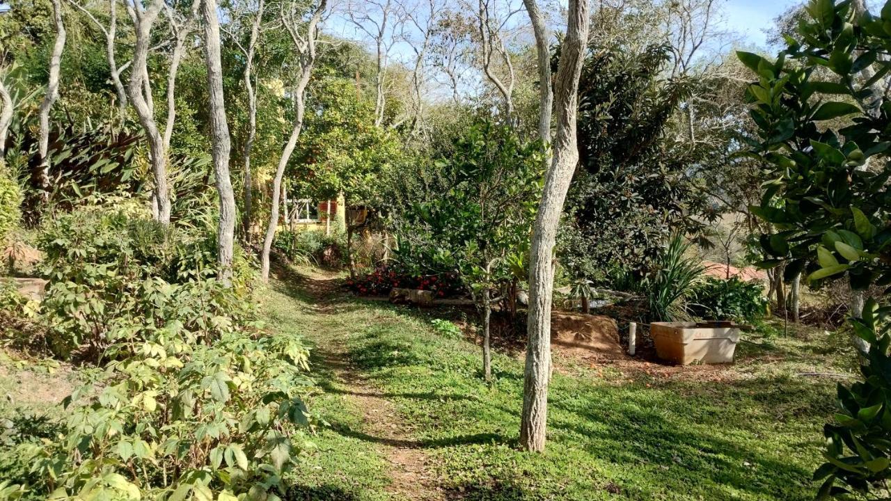 Ecohousing Gaia Terranova Hospedagem Eco Pet Friendly Piranguinho Exterior foto
